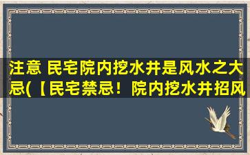 注意 民宅院内挖水井是风水之大忌(【民宅禁忌！院内挖水井招风水大忌，你是否犯了这个“低级错误”？】)